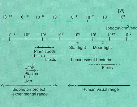 fig1